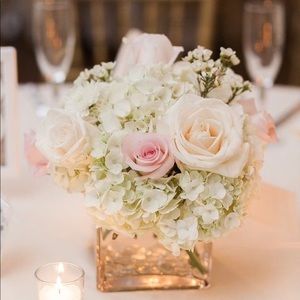 Meet your Posher, Priscila